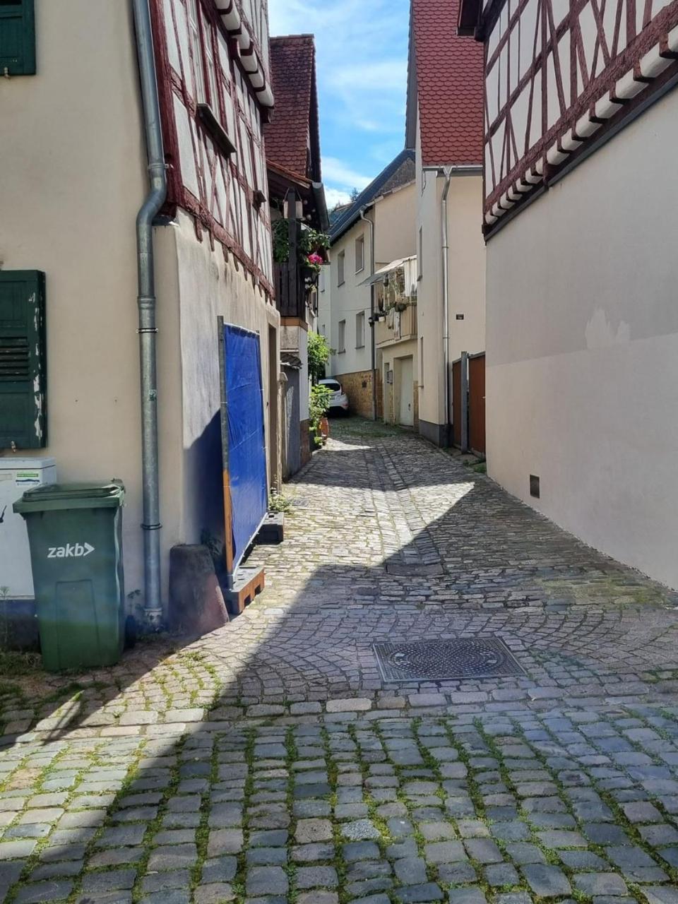 Ferienwohnung Heppenheim An Der Bergstrasse Whg 1 Extérieur photo